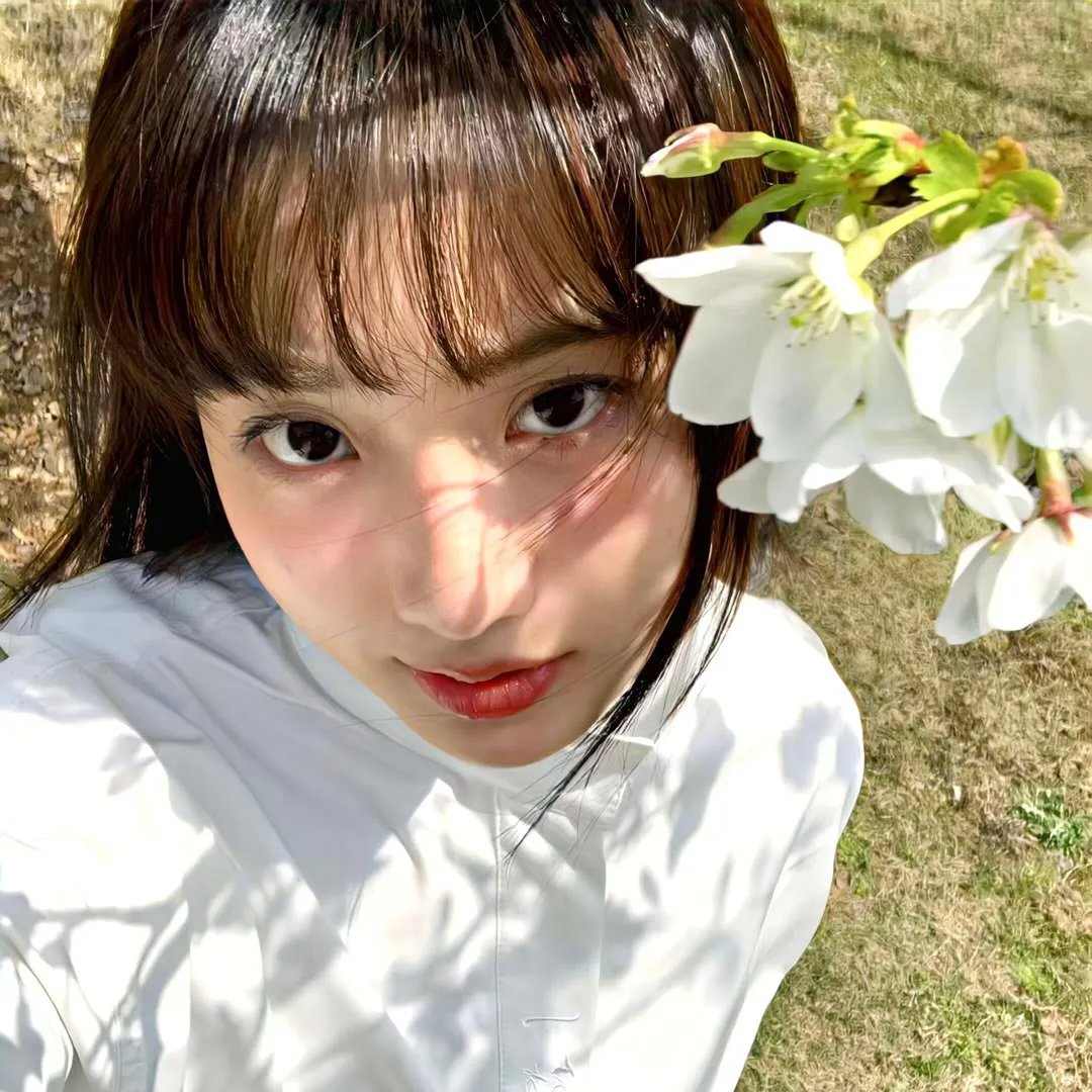 哈莉·奎茵第一季
