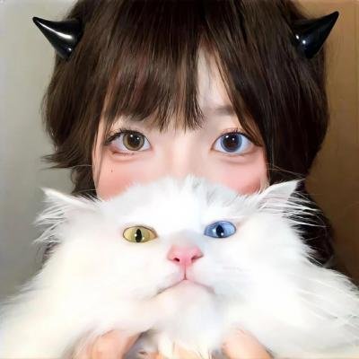 犬夜叉：镜中的梦幻城